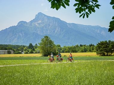Radfahrer mit Ausblick auf den Untersberg
