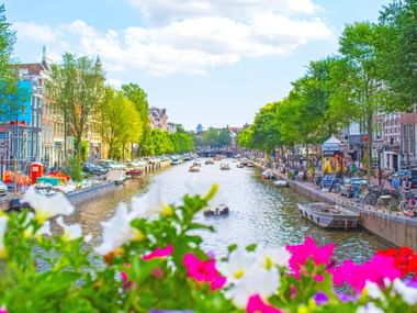 Amsterdam canal with flowers