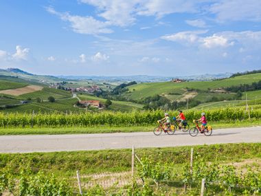 Radweg durch den Weingarten im Piemont