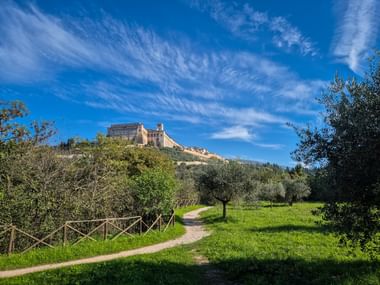 Blick auf das Sacro Convento von Assisi