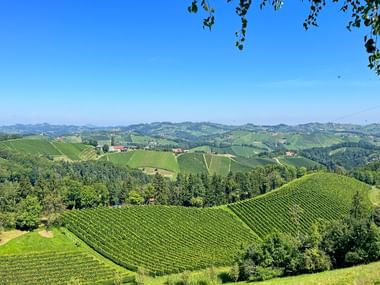 Panoramic view of Gamlitz on a cloudless day