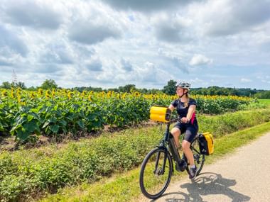 Radfahrerin mit gelben Taschen fährt auf asphaltiertem Weg neben blühendem Sonnenblumenfeld unter bewölktem Himmel in Friaul, Italien.