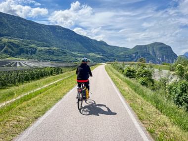 Radfahrer am Etschradweg