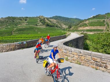Radfahrer am Donauradweg in der Wachau