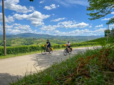 Cycle path through the Collio wine-growing region Two cyclists on a tour through the Collio wine-growing region