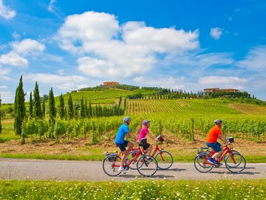 Eurobike Radfahrer zwischen den Weingärten