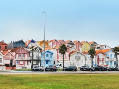 Reihe traditioneller Palheiros-Häuser mit bunten vertikalen Streifen in Costa Nova. Palmen und parkende Autos davor, unter klarem Himmel.