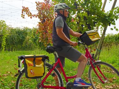 Cyclist in a vineyard