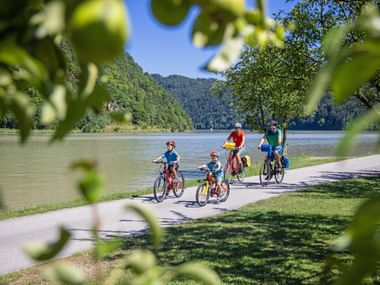 Family of four cycling on paved path beside the Danube River. Two children and two adults wear helmets, with forested hills in background.
