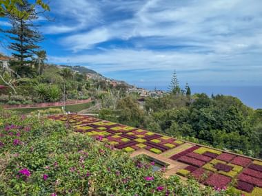 Der botanische Garten in Funchal