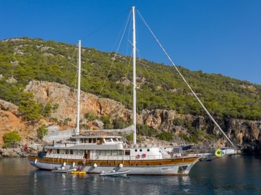 MS Boreas