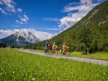 Three cyclists riding on paved path through green meadow with snow-capped mountain peak and forested slopes under blue sky on Lechradweg.
