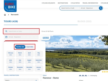 Search term and travel date in the search