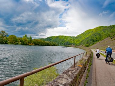 Cyclists along the river Moselle