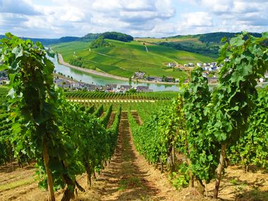 Breathtaking panorama in Nittel on the Moselle