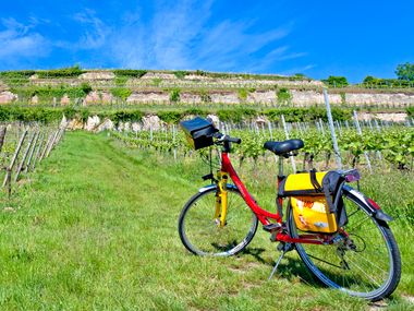 Bicycle in the vineyards along the Rhone