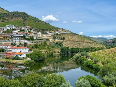 Covelinhas am Douro