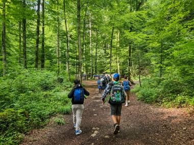 Group of hikers with backpacks walking on a dirt trail through a lush green forest in Köstendorf during summer.
