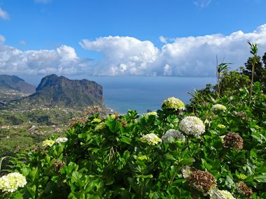 Blick hinunter über Blumen nach Porto da Cruz und aufs Meer