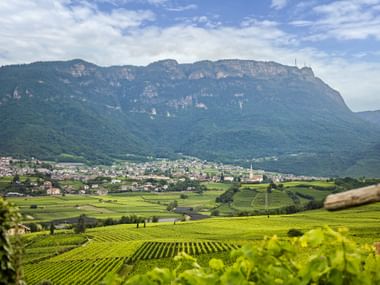 Grüne Weinbergreihen im Vordergrund mit Ortschaft und dramatischer Bergkette im Hintergrund unter blauem Himmel in Südtirol, Italien.