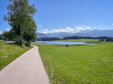 Radweg führt zu Forggensee