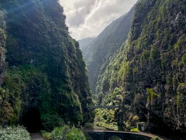 Steep green gorge Ribeira do Inferno in Madeira with lush vegetation on rocky cliffs, a bridge spanning the valley, and a road tunnel entrance.