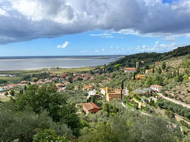 View of Lago Massaciuccoli