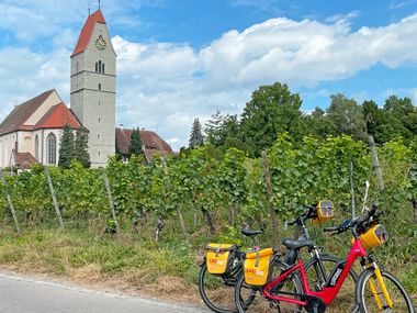 Fahrräder vor Weinreben in Hagnau