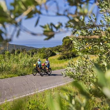 Two cyclists riding on paved path through green landscape with olive trees. View of Tyrrhenian Sea coast and hills in background under blue sky.