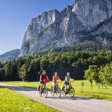Drei Radfahrer auf einer asphaltierten Straße mit gelben Packtaschen, fahrend durch grüne Wiesen mit den dramatischen Kalksteinfelsen der Drachenwand.