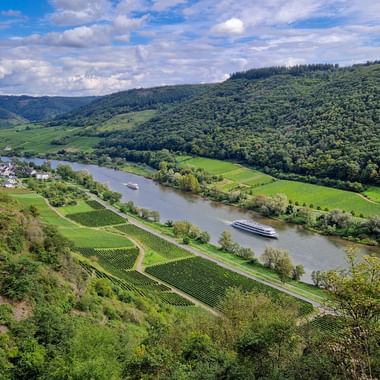 Moselle view of Bruttig-Fanke