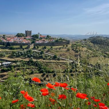 Douro Valley, Braganca