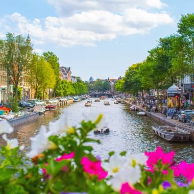 Amsterdamer Gracht mit Booten, bunten Blumen im Vordergrund, historischen Gebäuden und Bäumen an beiden Seiten unter blauem Himmel.