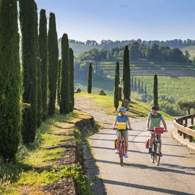 2 Cyclists cycle past cypress trees