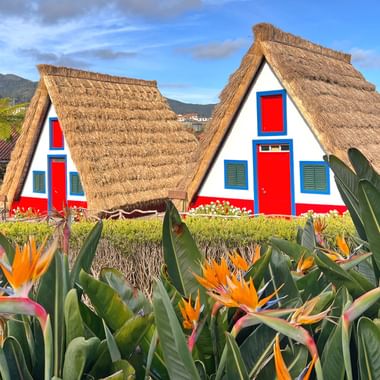 Two traditional A-frame straw houses in Santana, Madeira with white walls, red doors and blue trim. Orange bird of paradise flowers bloom in foreground.