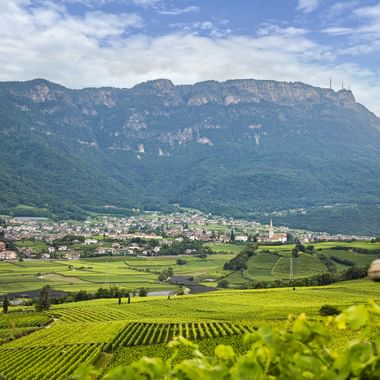 Grüne Weinbergreihen im Vordergrund mit Ortschaft und dramatischer Bergkette im Hintergrund unter blauem Himmel in Südtirol, Italien.