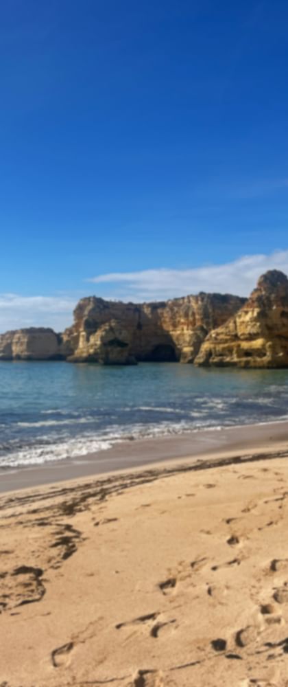 Möwen am Strand von Praia da Marinha
