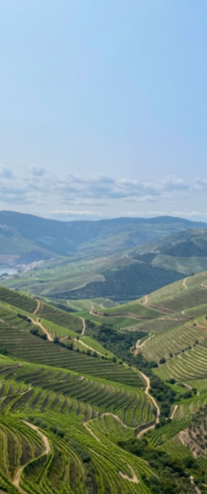 Viewpoint over the Douro Valley near Abelheira