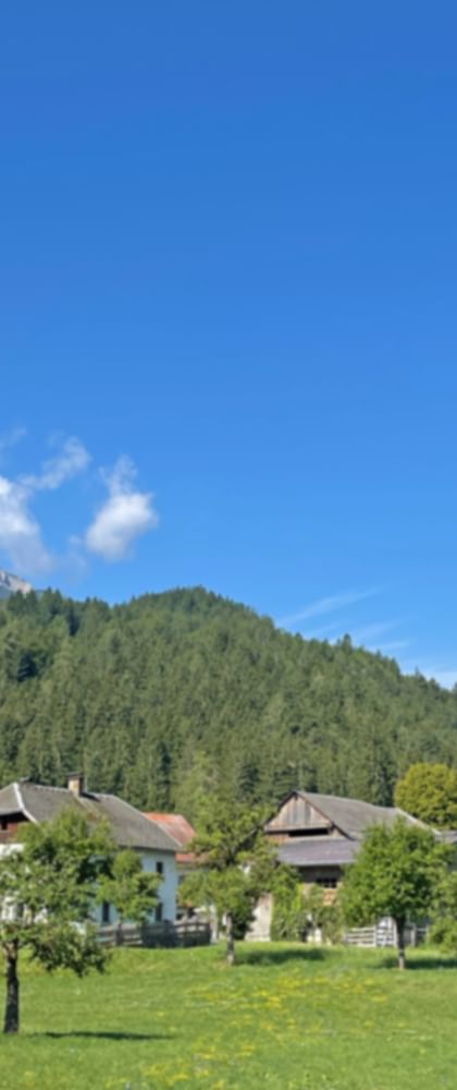 Idyll on the Drau cycle path