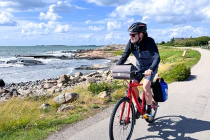 gebrauchte cube mountainbikes Reaction C:62 Pro Fahrrad Hardtail BIO Leinöl, Beste Qualität Farbe:Rosa Metall Öleregal