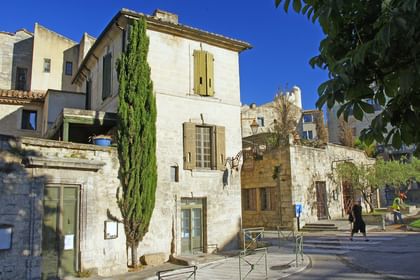 Provence und Camargue