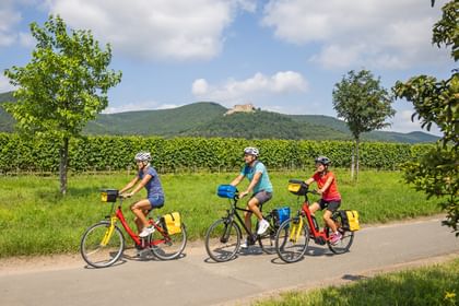 Rhine & Vines with Charm