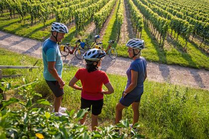 Winery tour on the Rhine