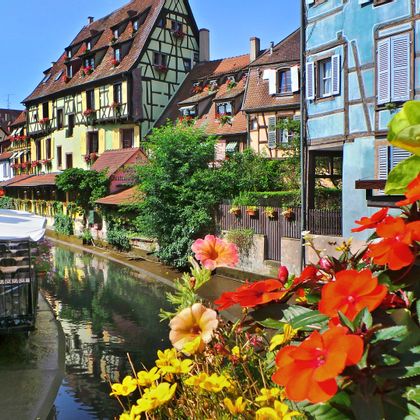 Old half-timbered houses on the Lauch in Colmar, with flowers in the foreground