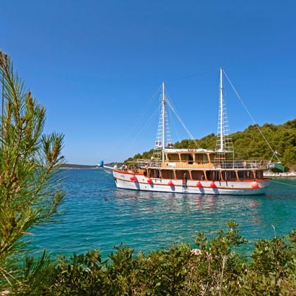 MS Dalmatino