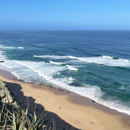 Coastal landscape with the sea in the background in Portugal