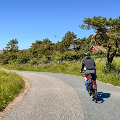 Radfahrer mit Taschen auf asphaltiertem Sydkustleden-Radweg durch grüne Landschaft mit roten Häusern und Bäumen unter blauem Himmel.