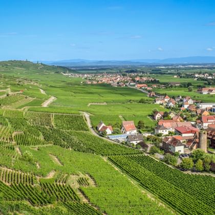Luftaufnahme des Dorfes Ammerschwihr im Südelsass, umgeben von terrassierten Weinbergen unter blauem Himmel mit fernen Bergen.