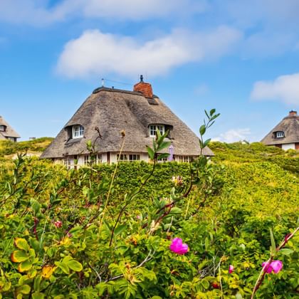 Thatched roof houses on Sylt