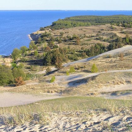 Dunes of the Curonian Spit